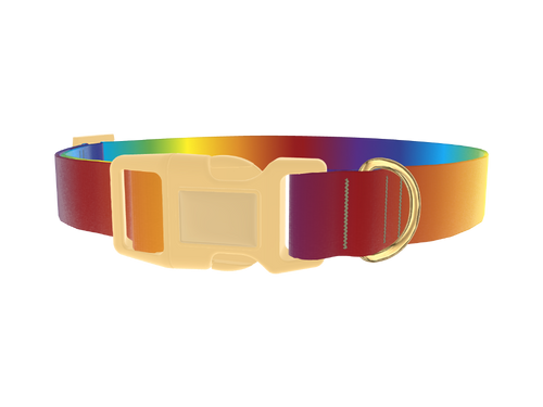 Rainbow Gradient Dog Collar