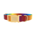 Rainbow Gradient Dog Collar - plastic gold
