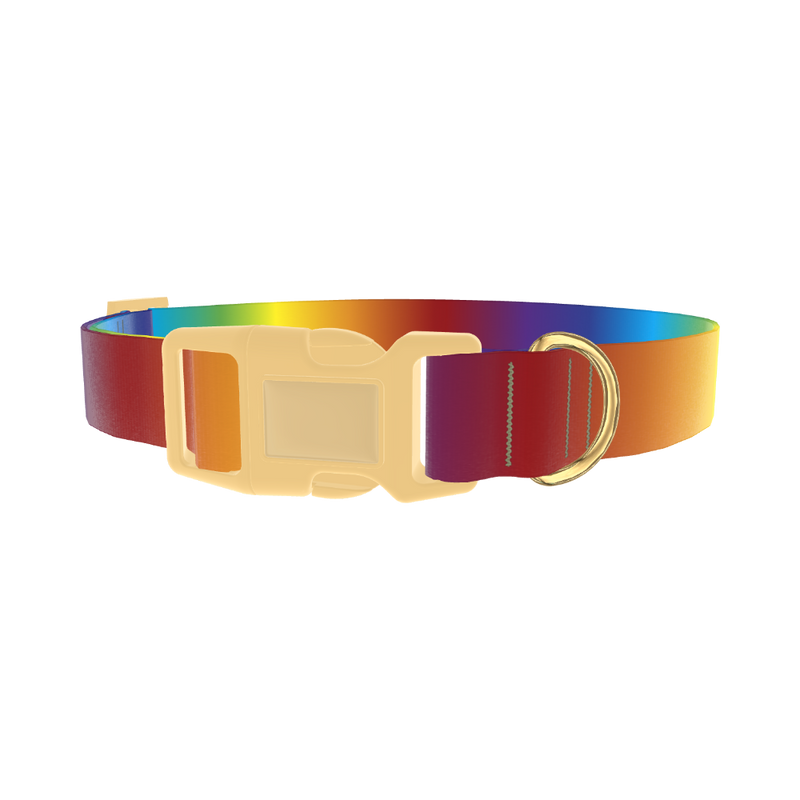 Rainbow Gradient Dog Collar - plastic gold