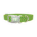 Lime Clover Pattern Dog Collar - plastic silver