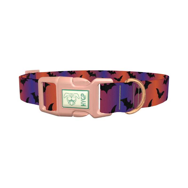 Halloween Bat Dog Collar - plastic rose gold