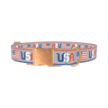 Patriotic USA Flag Dog Collar - metal rose gold