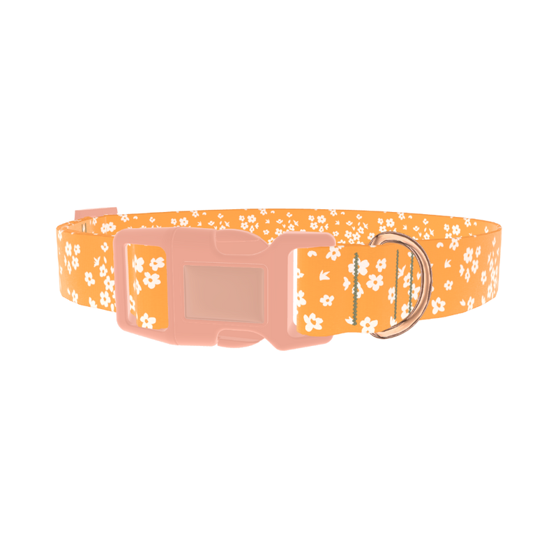 Yellow Blossom Dog Collar - plastic rose gold
