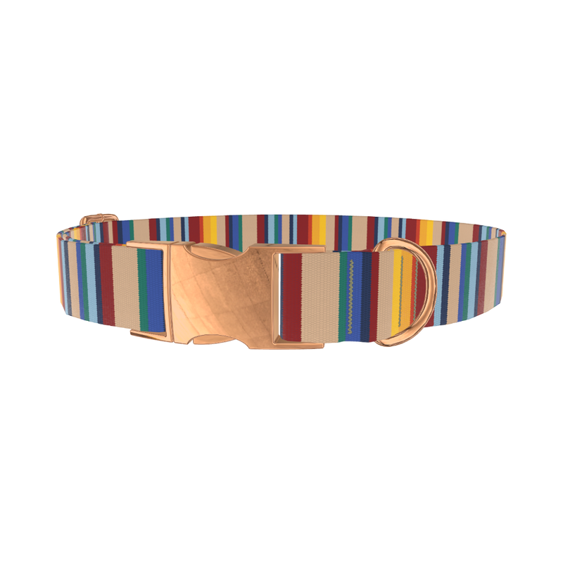 Colorful Striped Dog Collar - metal silver