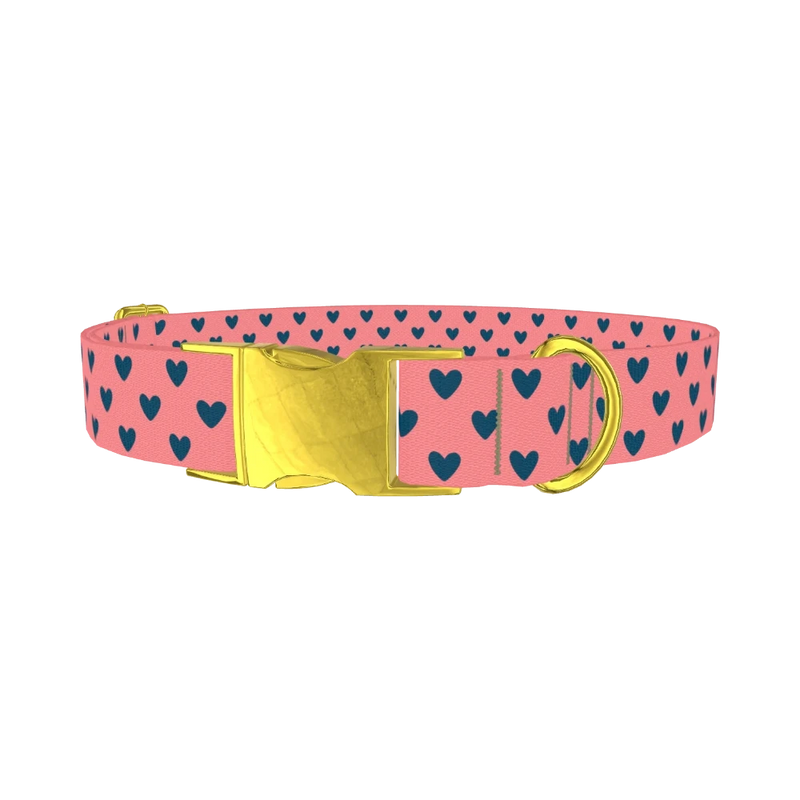Sapphire Heart Dog Collar - metal gold