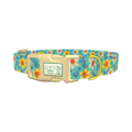 Floral Narcissus Dog Collar - plastic gold