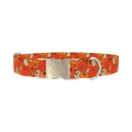Autumn Harvest Pumpkin Dog Collar - metal silver