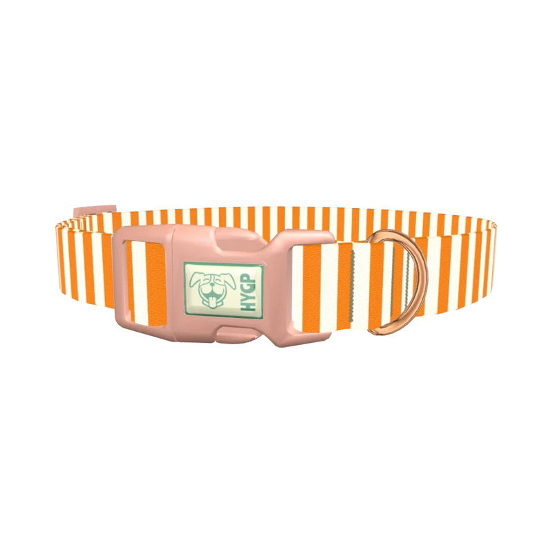 Halloween Stripes Dog Collar - plastic rose gold