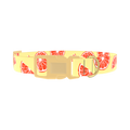 Citrus Fruit Dog Collar - plastic gold