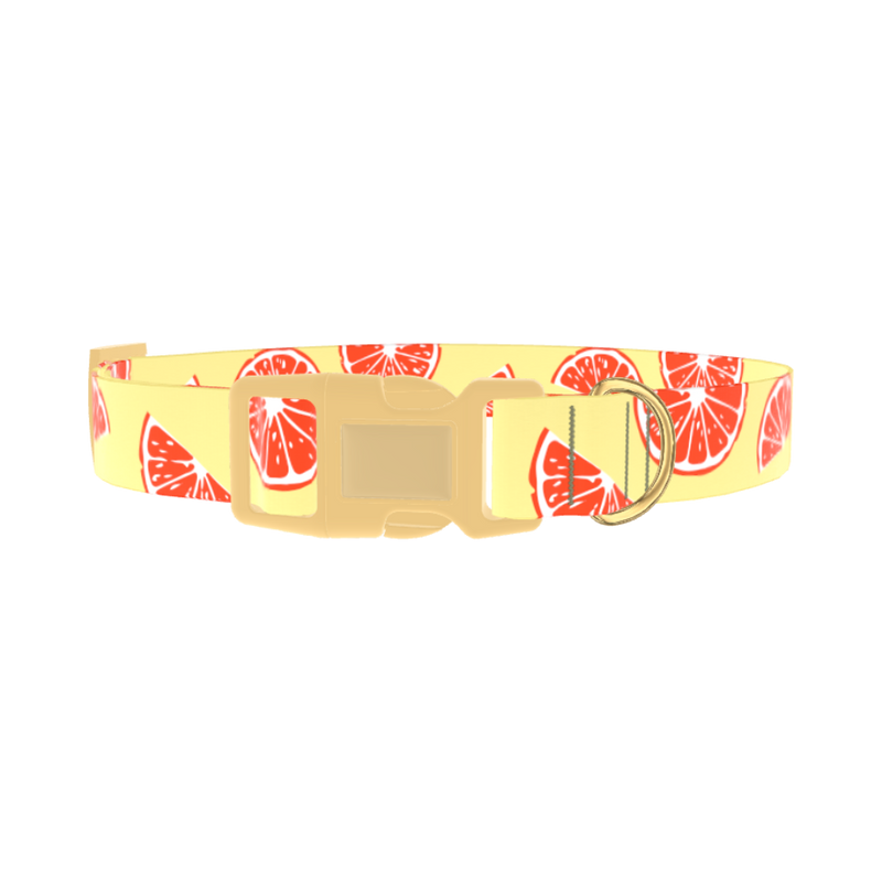 Citrus Fruit Dog Collar - plastic gold