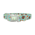 Autumn Hedgehog Dog Collar - plastic silver