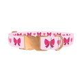 Heart Ribbon Dog Collar - metal rose gold
