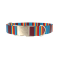 Colorful Stripe Dog Collar - metal gold