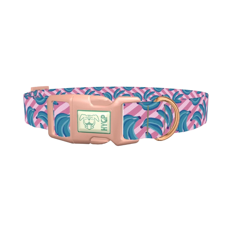 Blue Banana Dog Collar - plastic rose gold
