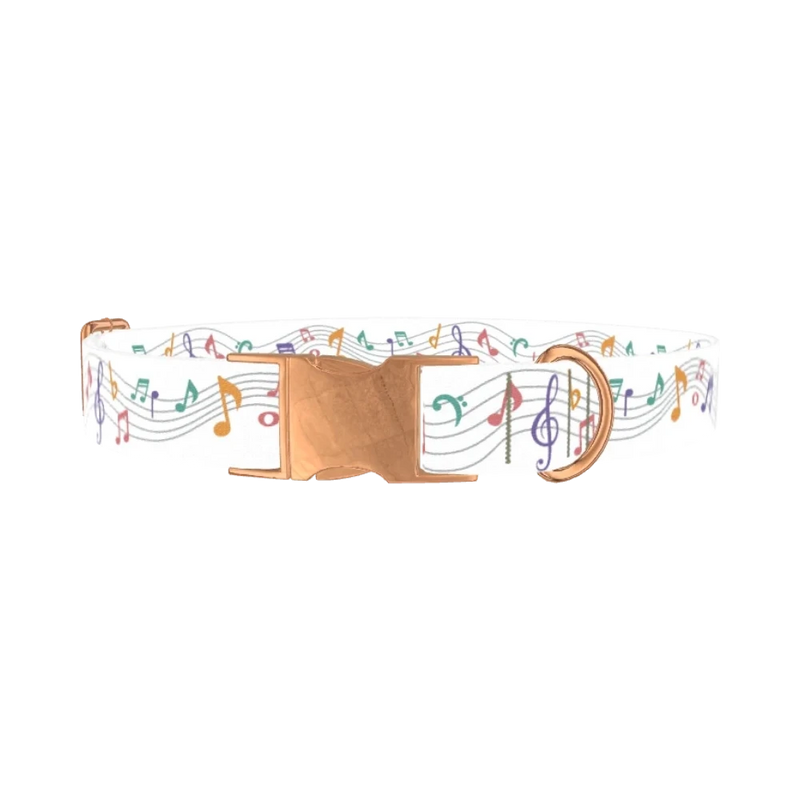 Colorful Music Notes Dog Collar - metal rose gold