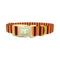 Halloween Stripe Dog Collar - plastic gold