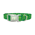 Green Skull Pattern Dog Collar - plastic silver