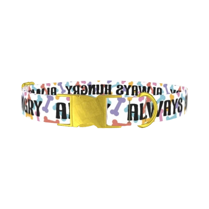 Bone Pattern Dog Collar - metal gold