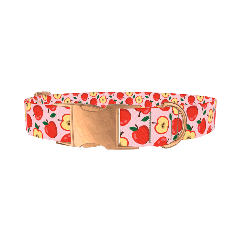 Apple Fruit Dog Collar - metal rose gold