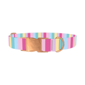 Pastel Stripe Mix Dog Collar - metal rose gold