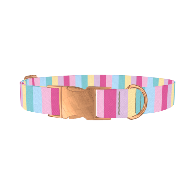 Pastel Stripe Mix Dog Collar - metal rose gold