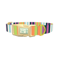 Pastel Stripe Dog Collar - plastic gold