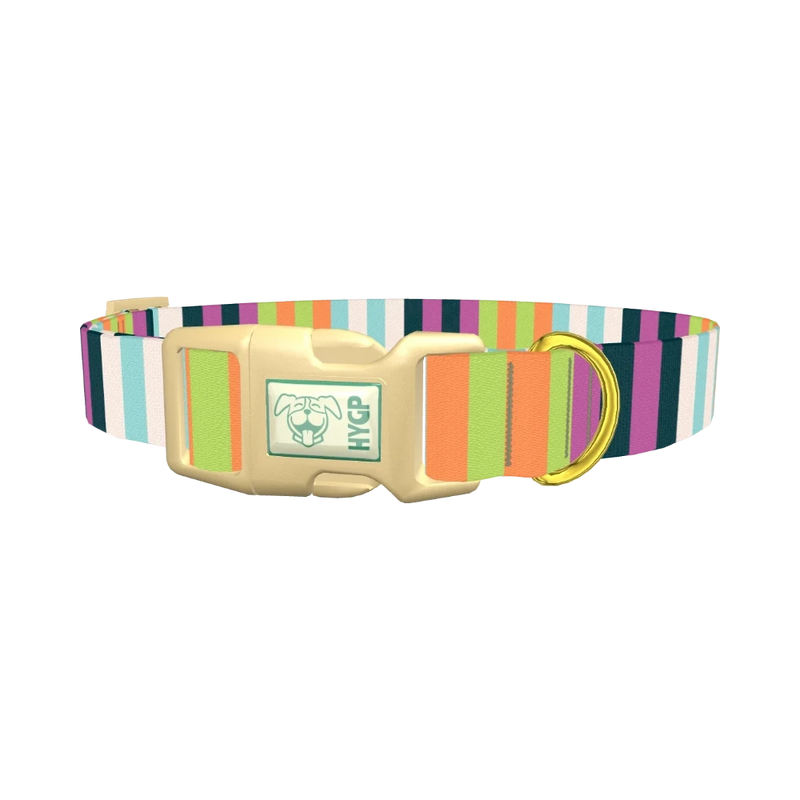 Pastel Stripe Dog Collar - plastic gold