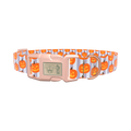 Halloween Pumpkin Stripe Dog Collar - plastic silver