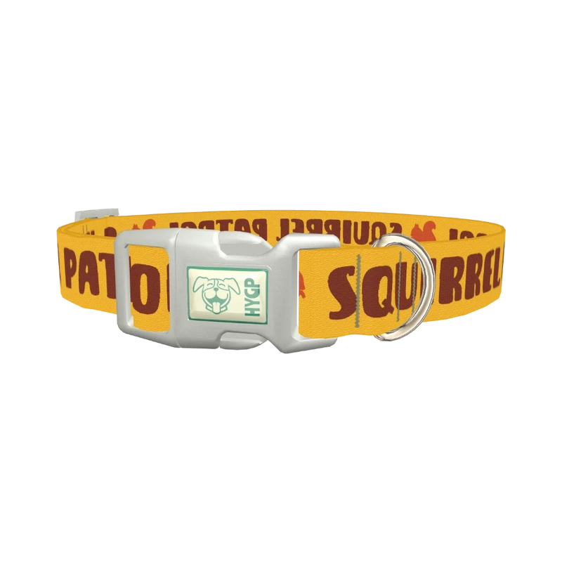 Yellow Squirrel Dog Collar - plastic silver