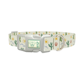 Sunny Cactus Dog Collar - plastic silver