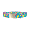 Summer Ice Cream Dog Collar - metal silver