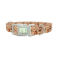 Coffee Berry Dog Collar - plastic silver