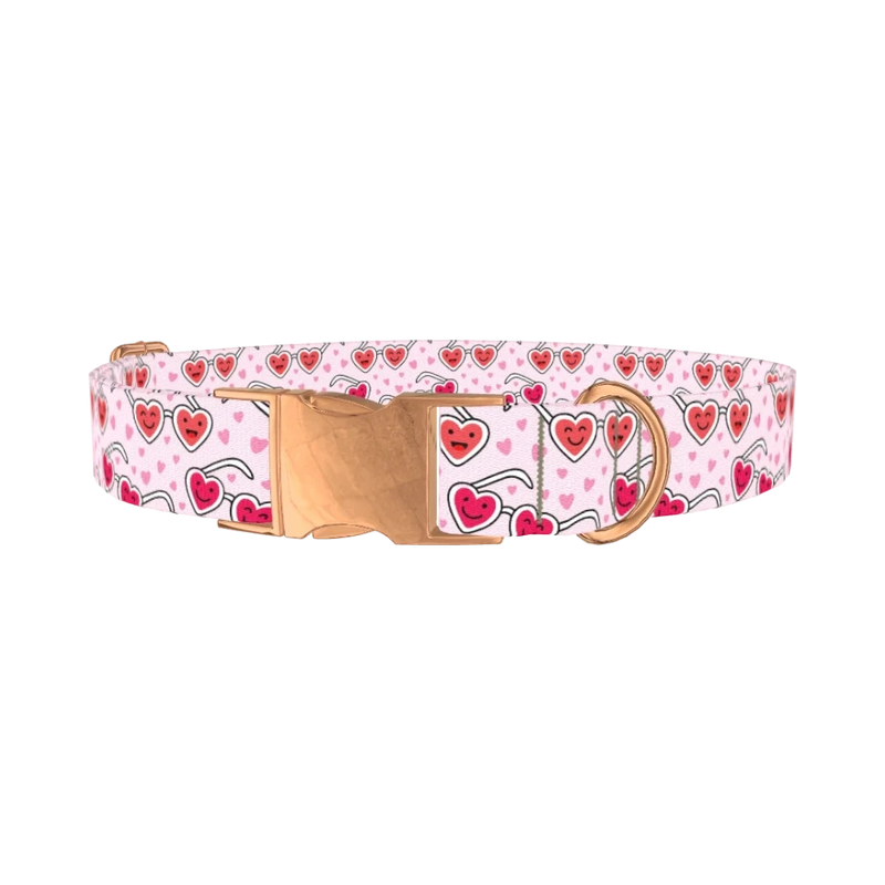 Heart Glasses Dog Collar - metal rose gold