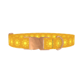 Sunburst Pattern Dog Collar - metal rose gold