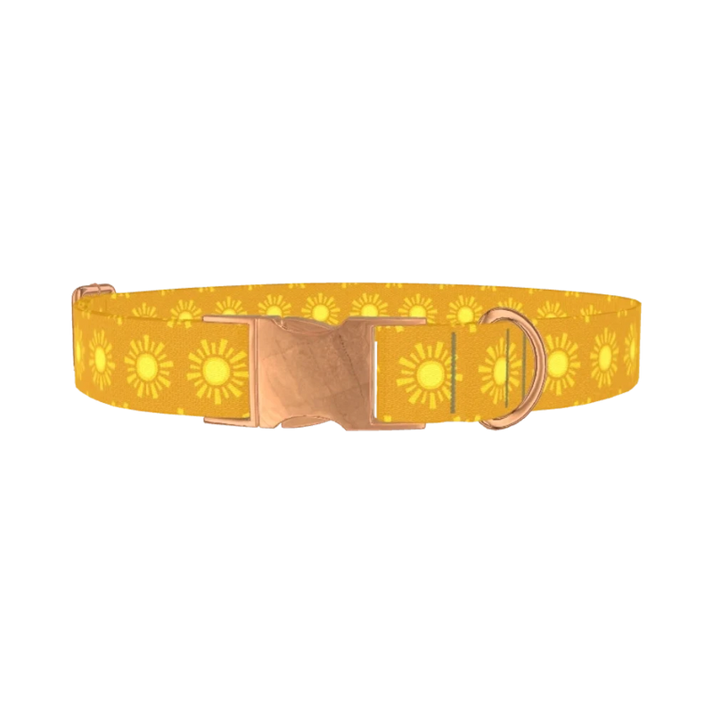 Sunburst Pattern Dog Collar - metal rose gold