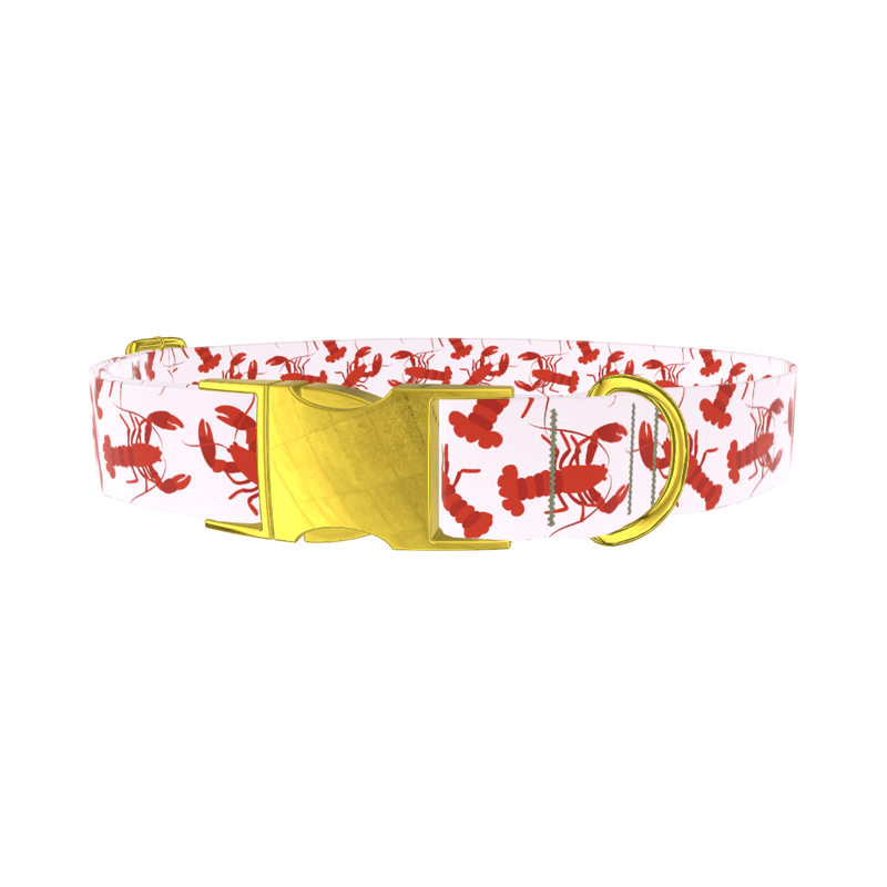 Lobster Pattern Dog Collar - metal gold