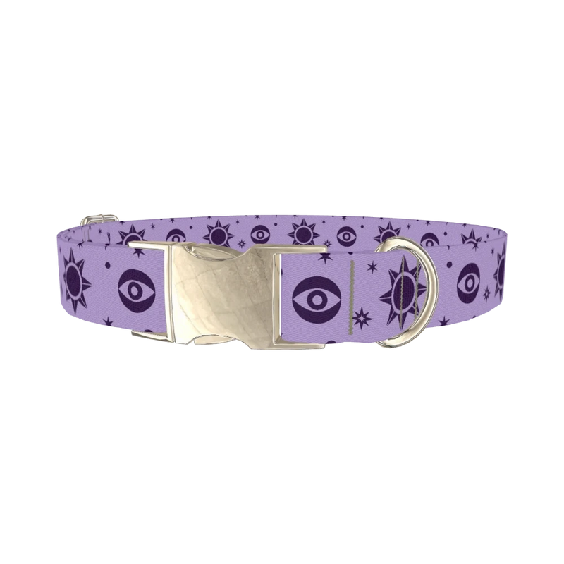 Mystical Star Dog Collar - metal silver