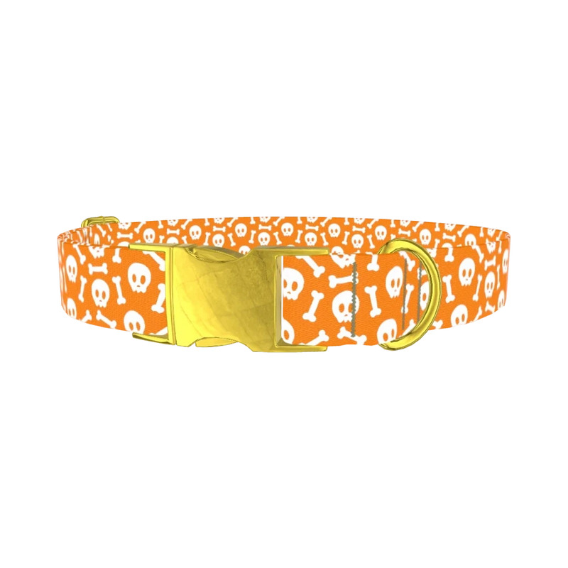 Orange Skull and Bones Dog Collar - metal gold