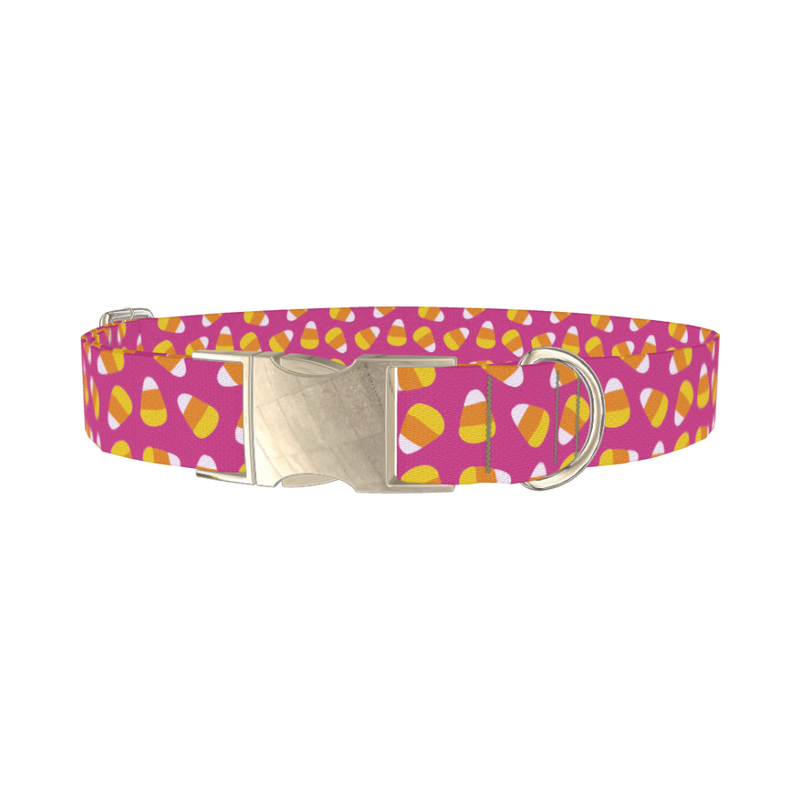 Pink Candy Corn Dog Collar - metal silver