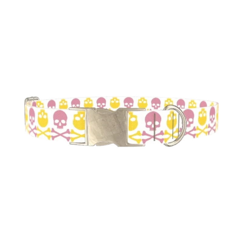 Multicolor Skull Dog Collar - metal silver