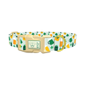 St. Patrick's Day Cheers Dog Collar - plastic gold