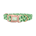 Pickle Jar Dog Collar - plastic rose gold