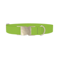Seductive Thorns Color Dog Collar - metal silver