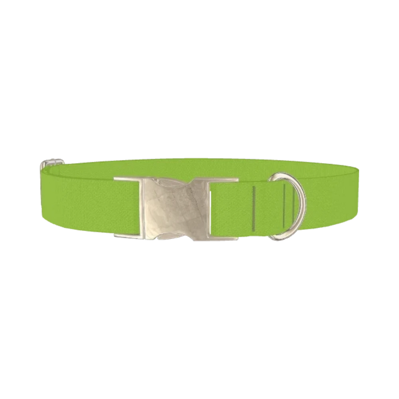 Seductive Thorns Color Dog Collar - metal silver