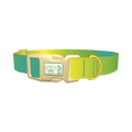 Gradient Color Dog Collar - plastic gold