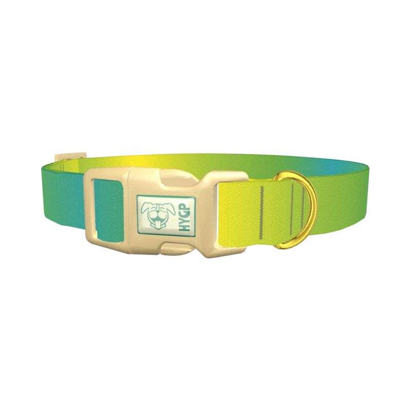 Gradient Color Dog Collar - plastic gold