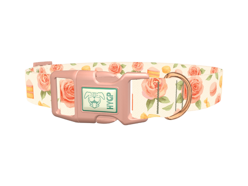 Floral Sweets Dog Collar