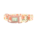 Floral Sweets Dog Collar - plastic rose gold