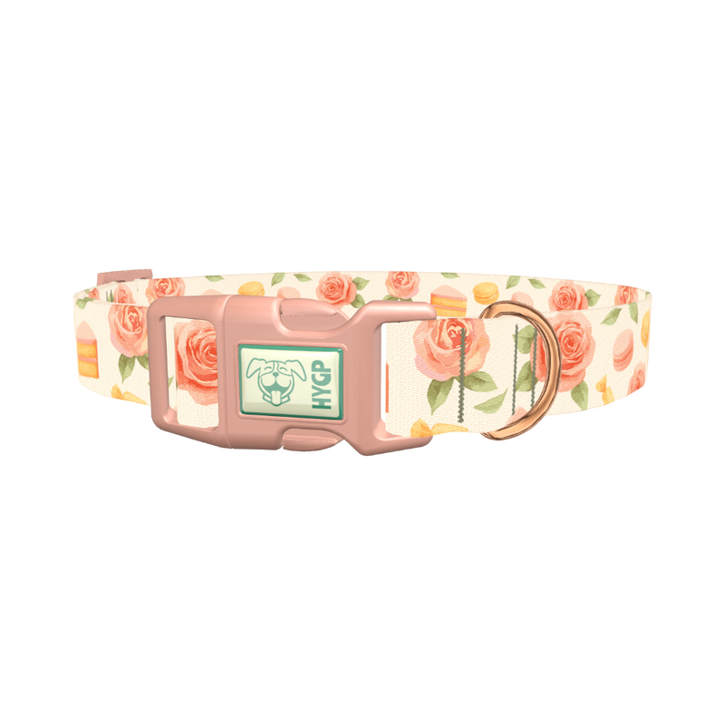Floral Sweets Dog Collar - plastic rose gold