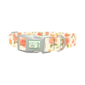 Floral Sweets Dog Collar - plastic silver